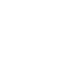 trofeo aido gara regolarit auto storiche